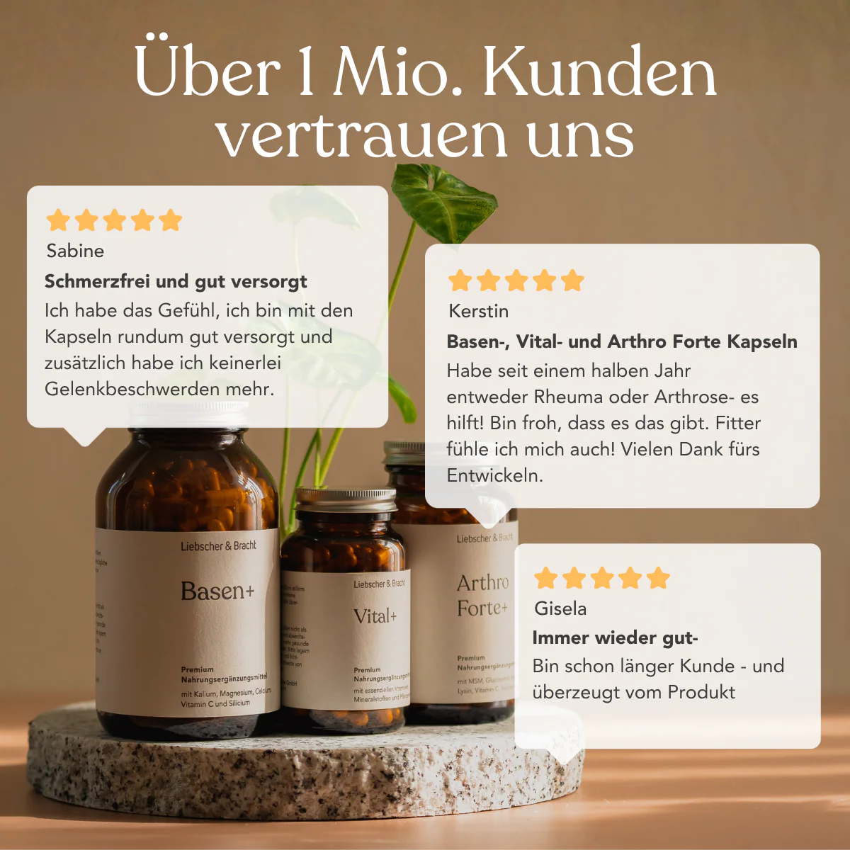 Die 3er-Kombi - Arthro Premium Vitalstoffe - Image 13